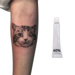 White Tattoo Cream Factory - New 60% PMU Microblading