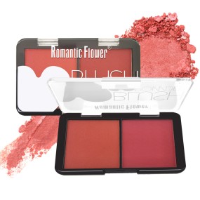 Blush Palette Supplier - New Design Hot Sale 2 Colors Matte Waterproof Pink Powder Blush Palette