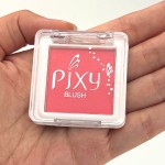 小腮红供应商-批发PIXY6色纯素哑光美容单色顺滑小腮红