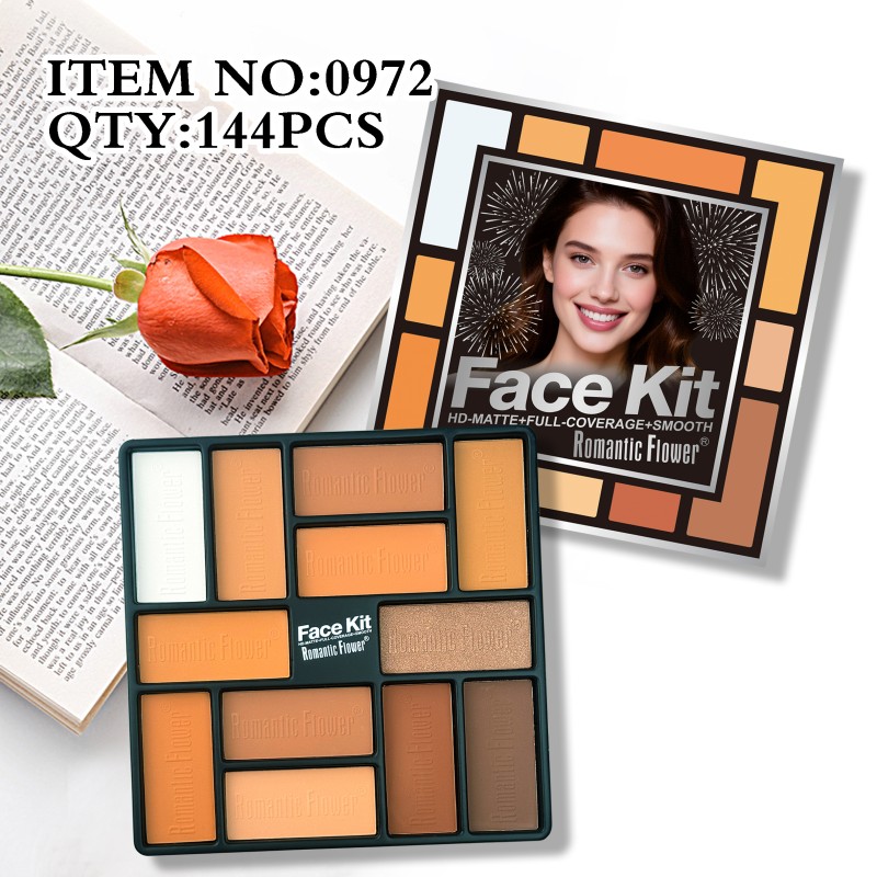 修容盘厂家-新款设计批发可定制logo12合1深色面部化妆