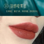 Lip Plumper Factory - New Arrival Wholesale Makeup Cosmetics Lip Plumper Long Lasting Waterproof Luxury