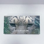 Eyeshadow Palette Factory - Ready to Ship Pigmented