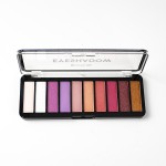 Eyeshadow Palette Manufacturer - ECO 16 Color Shimmer