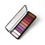 Eyeshadow Palette Manufacturer - ECO 16 Color Shimmer