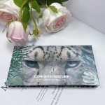 Eyeshadow Palette Factory - Ready to Ship Pigmented