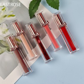 Waterproof Liquid Lipstick Factory - OEM 60 Colors Waterproof High Pigment Liquid Lipstick Creamy Non-sticky Wholesale