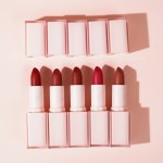 Lipstick Manufacturer - Waterproof Velvet Matte