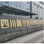 成人尿裤厂家-中性XL尺寸一次性成人拉拉裤高吸收印花
