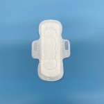 Sanitary Napkins Factory - Disposable Hygienic Overnight