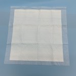 Underpad Manufacturer - Disposable Printed Nursing