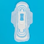 Sanitary Pants Factory - Disposable XXL Overnight Menstrual
