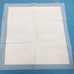 Adult Bed Sheet Manufacturer - 60X90cm Waterproof Disposable