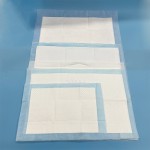 Incontinence Pad Manufacturer - Absorbent Under Bed Pads