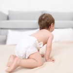 Baby Nappies Factory - Best Factory Priced Unisex Disposable Baby Nappies Fast Delivery Elastic Waistband