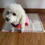 宠物训练垫厂家-代工批发厂家现货低起订量防水快速吸收6层宠物小狗