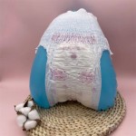 月经裤厂家-热销女士经期安全裤超级东京便捷使用卫生裤