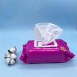 宠物护理产品厂家-宠物湿巾纯净水配方宠物护理产品健康护理特定清洁除臭