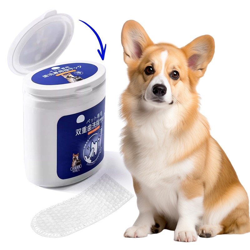 宠物护理产品供应商-厂价供应口腔护理