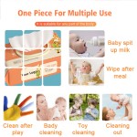 Cleaning Wipes Supplier - High Quality Small Packing