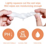 Cleaning Wipes Supplier - High Quality Small Packing