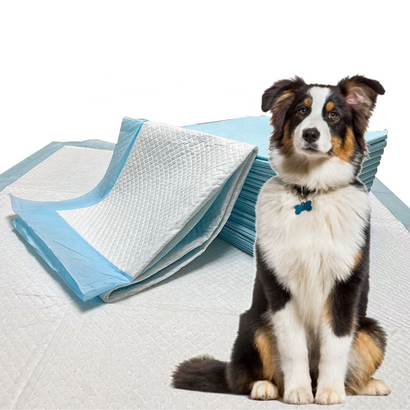 宠物垫供应商-可定制防水快吸6层