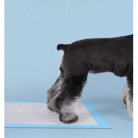Pet Waste Pads Manufacturer - Hot Selling Super Absorbent Disposable
