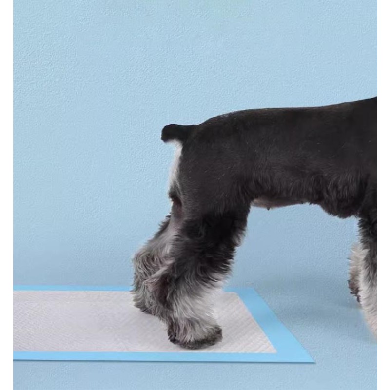 Pet Training Pads Manufacturer - Hot Selling Super Absorbent Disposable Puppy Pet Waste Disposal Training Pads