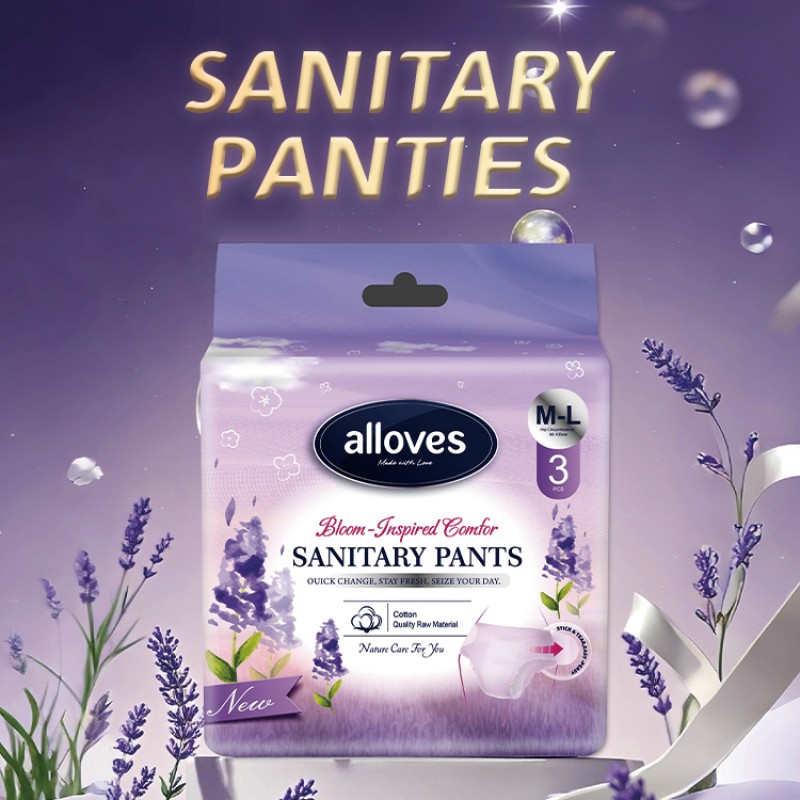 Menstrual Pants Supplier - Detachable Disposable Overnight Use