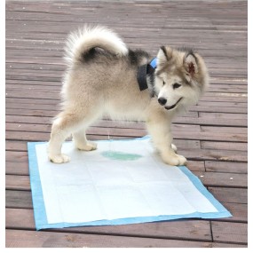 Pet Training Mat Supplier - Free Sample OEM China Supplier Pets and Dogs Accessories Disposable Puppy Pet Training Mat