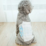 宠物尿裤供应商-现代新颖设计宠物狗尿裤尿裤优惠价格宠物训练用品吸引包装