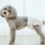 宠物尿裤供应商-批发一次性宠物尿裤柔软雌雄狗宠物尿裤定制品牌