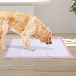 宠物训练垫厂家-厂家定制批发PE材质狗猫尿裤超吸收训练垫