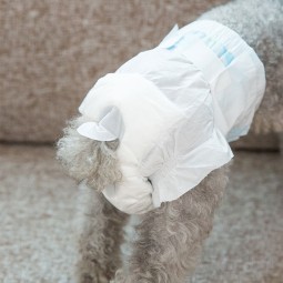 宠物训练垫供应商-代工小狗训练垫尿裤高效宠物尿裤清洁狗猫用