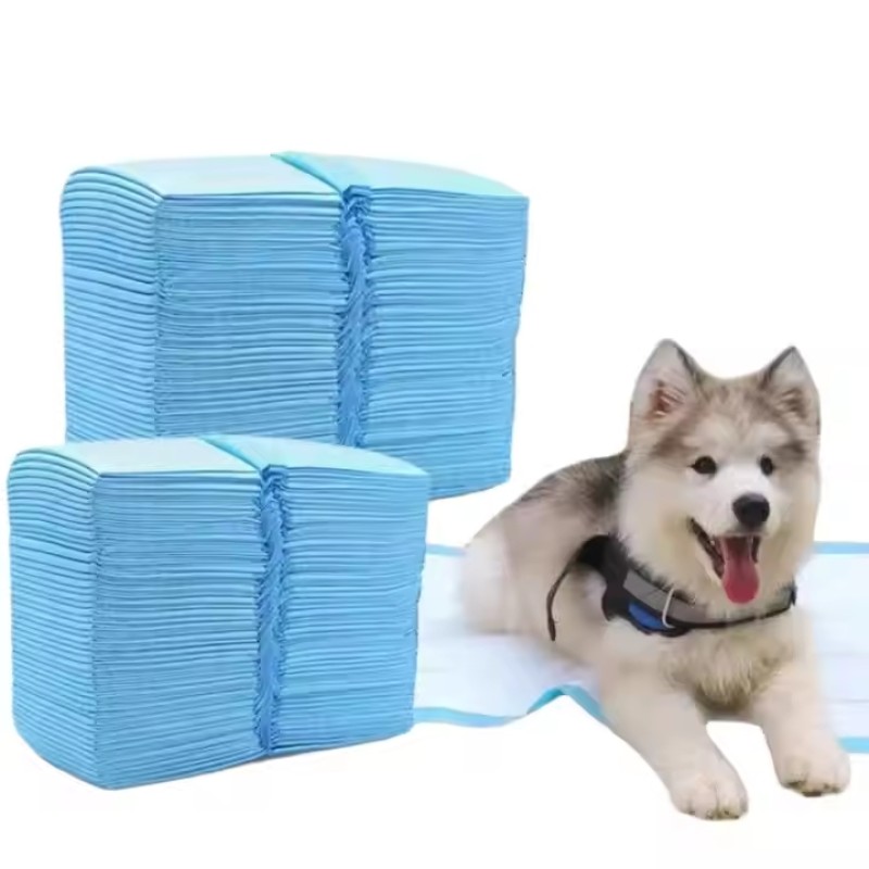 Pet Training Pads Supplier - Factory OEM ODM Pet Training Pads Cheap Price 5 Layer Pee Pads for Dogs Cats