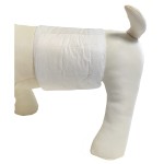 Pet Diaper Manufacturer - Customized XS-XXL Size Disposable Dog Diaper