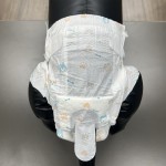 宠物纸尿裤厂家 - OEM定制一次性母幼犬