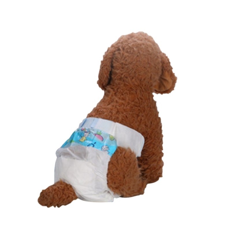 Pet Diapers Manufacturer - Wholesale for Paws Dog Male
