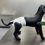 宠物纸尿裤厂家 - OEM定制一次性母幼犬