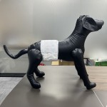 宠物纸尿裤生产厂家 - 高品质棉质生理裤