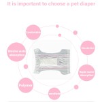Pet Diaper Manufacturer - High Absorbent Super Soft OEM