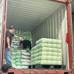 成人尿裤厂家-批发中性成人尿裤尿裤供应商印花日本SAP优惠价格品质