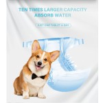 Pet Diaper Manufacturer - High Absorbent Super Soft OEM