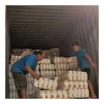 Baby Diaper Manufacturer - Wholesale Oem Free Sample