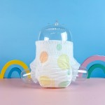 Baby Diaper Factory - China OEM Private Label Printed