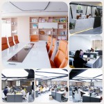 Toilet Paper Manufacturer - Wholesale Soft Virgin Wood