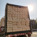 婴儿纸尿裤生产厂家 - 低价OEM品牌优质