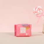 Sanitary Pad Factory - Premium Menstrual Quick Absorption