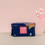 Sanitary Pad Factory - Premium Menstrual Quick Absorption