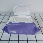 Wet Wipes Factory - Manufacture 2024 Hot Sale OEM Custom Wholesale