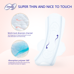 Anion Sanitary Pads Companies